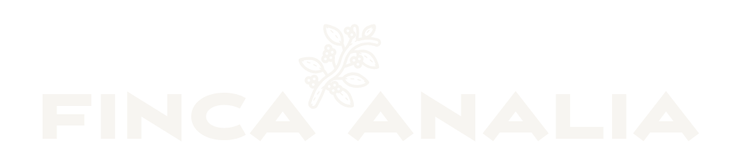 analia.com.co